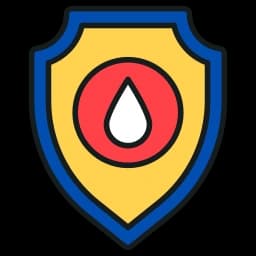 Enjoy a Safe Ride Experience